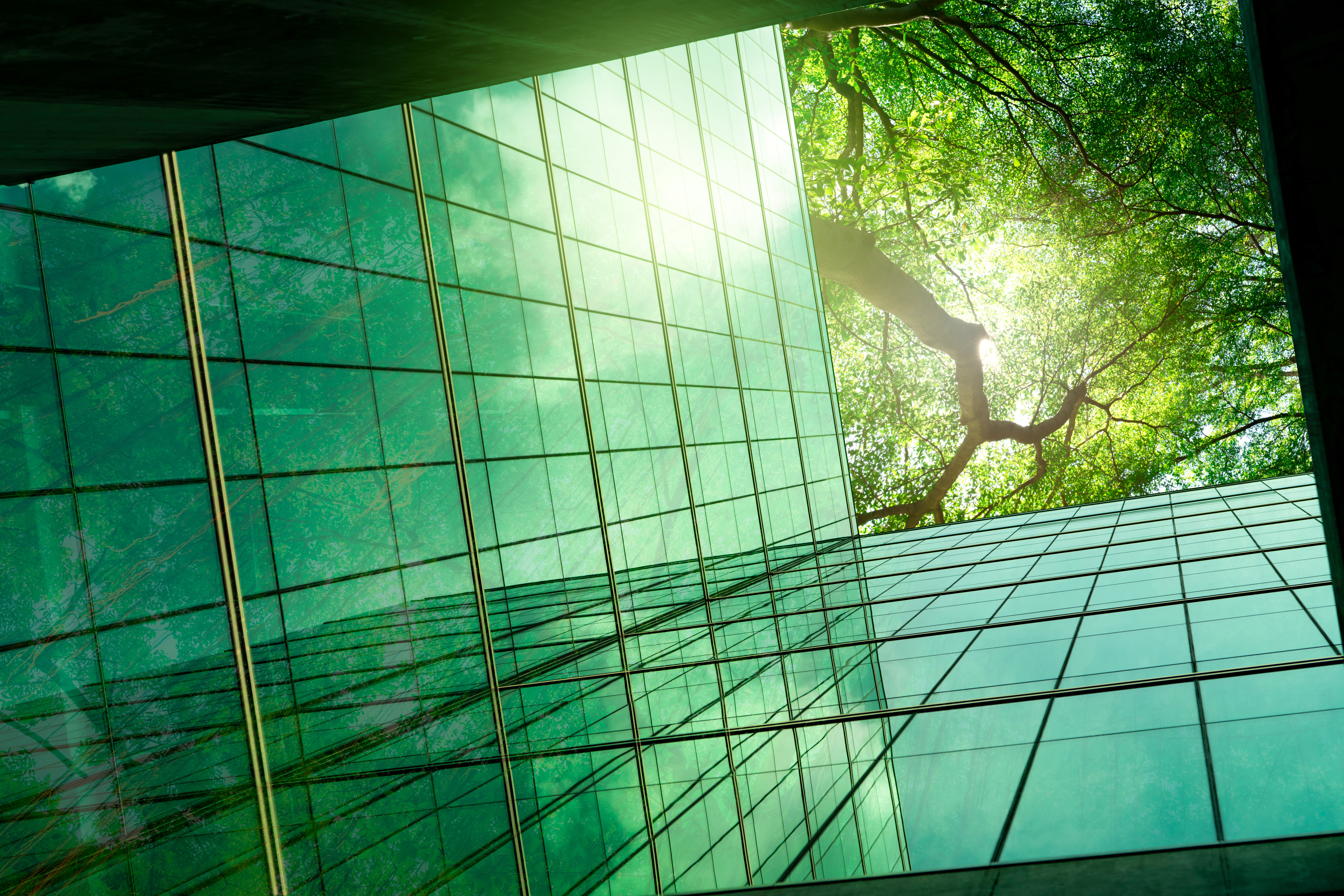 Sustainble green building. Eco-friendly building in modern city. ESG. Sustainable glass office building with green tree. Office with green environment. Corporate sustainability. Net zero emission.